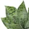 6.5" Agave in White Fluted Pot by Ashland®
